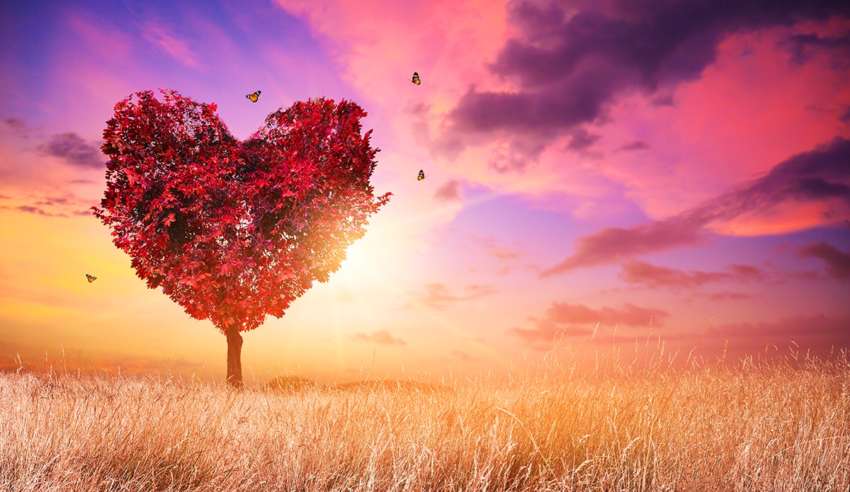 Join the Movement for Peace: How You Can Make a Difference in Creating a Better World!