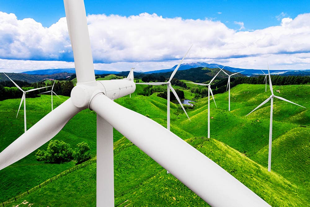 Saving Our Planet: Why Taking Action for the Environment Should be Our Top Priority