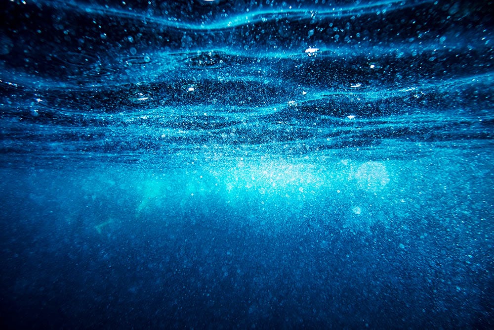Save Our Oceans and Feed the World: The Importance of Sustainable Aquaculture