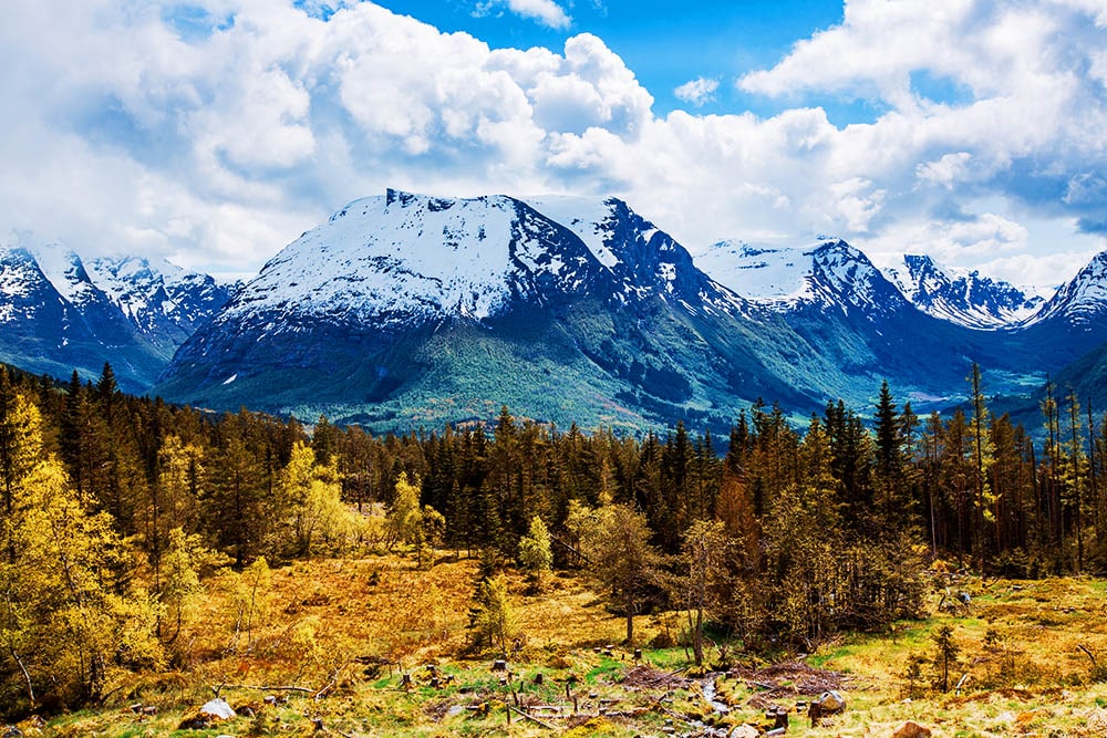 Experience Luxury in the Great Outdoors: Why Glamping is the Ultimate Escape!